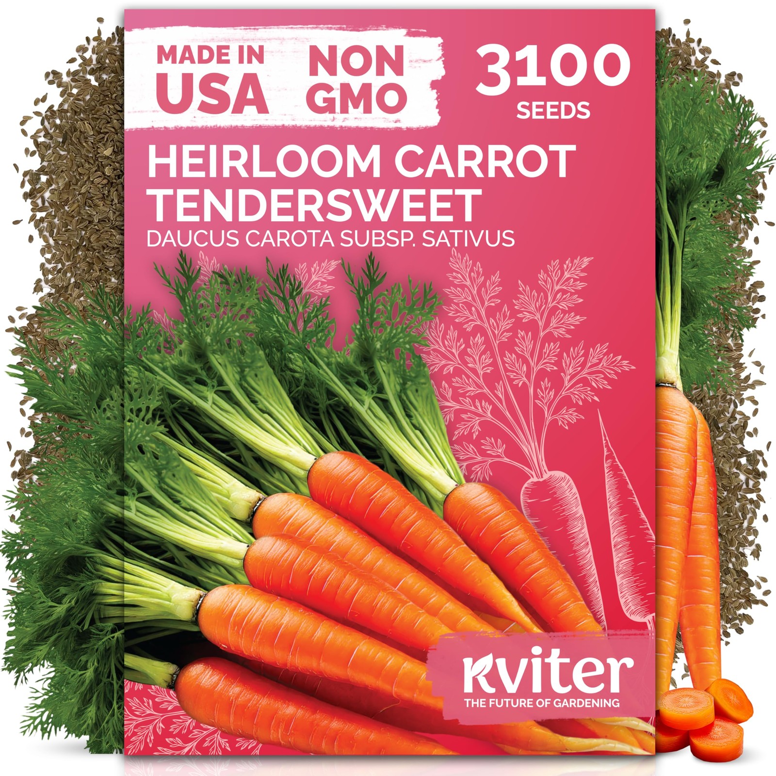 KVITER 3100 Tendersweet Carrot Seeds for Planting (Daucus carota)