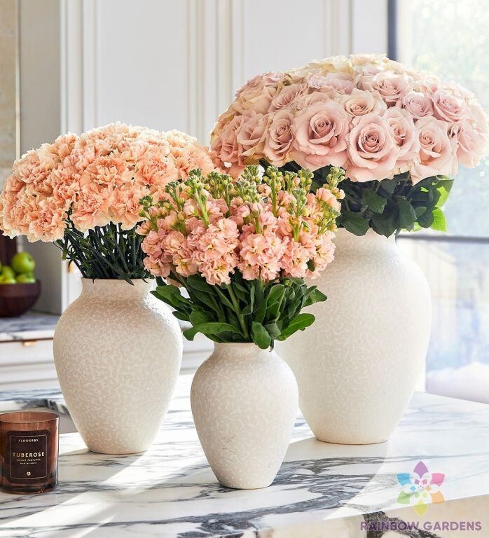 200+ Sand Pink Carnation Seeds for Garden Planting – USA – FREE SHIPPING!