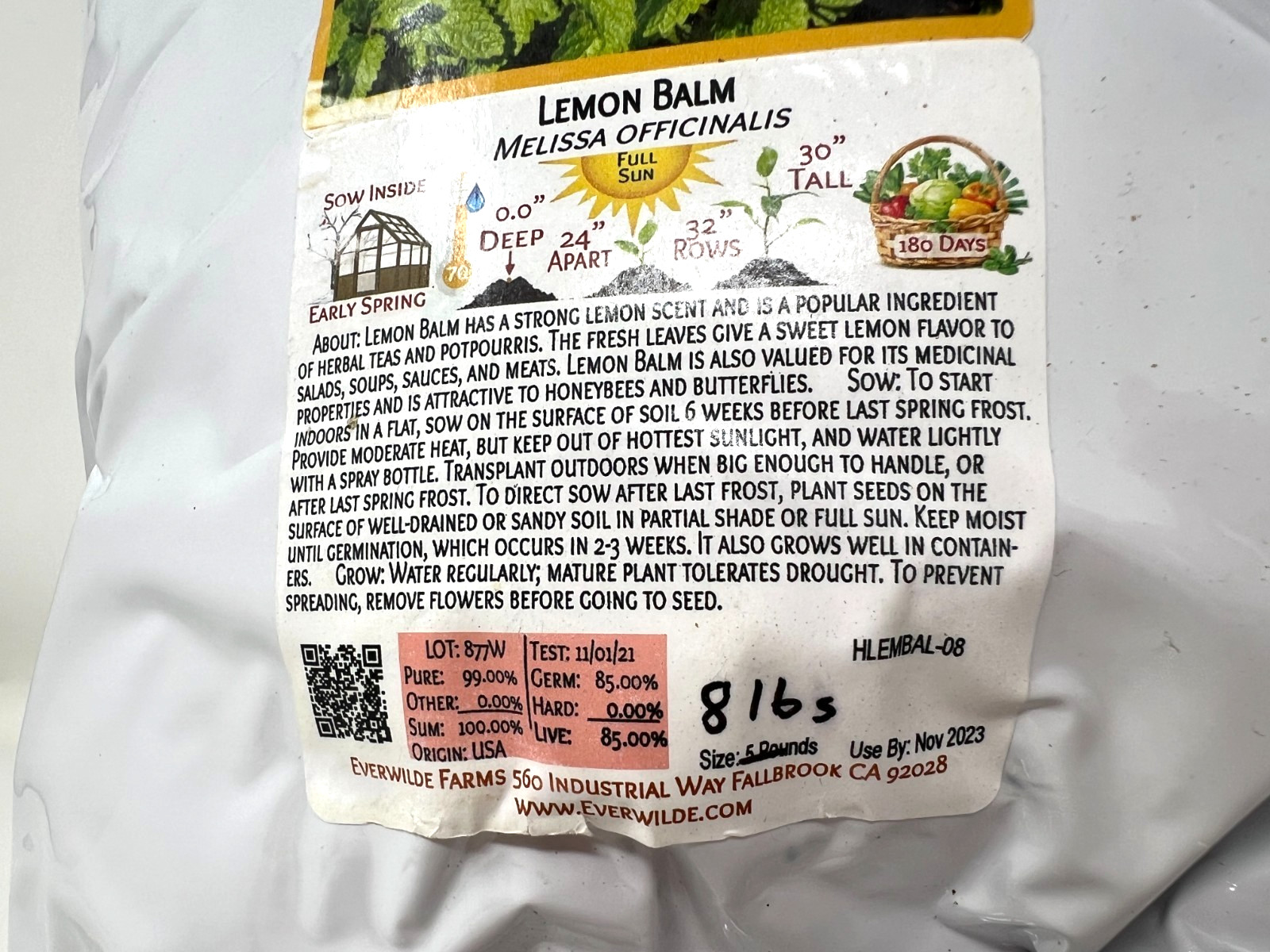 Everwilde Lemon Balm Seeds 8 LB Over 3 Mil Seeds Herb Edible Flower Perennial