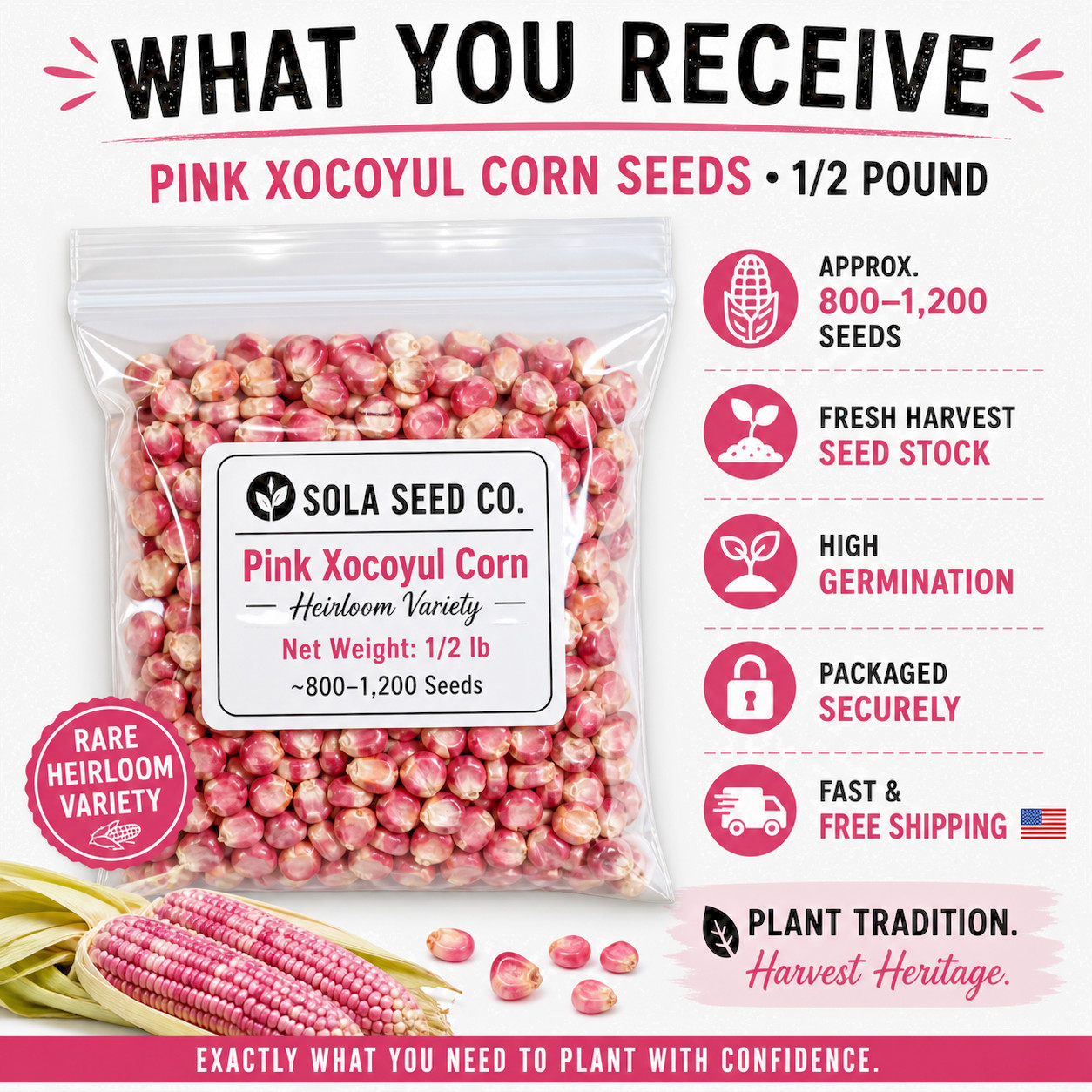 RARE PINK XOCOYUL CORN SEEDS – 1/2 LB (~800–1,200 SEEDS) For Planting. Heirloom