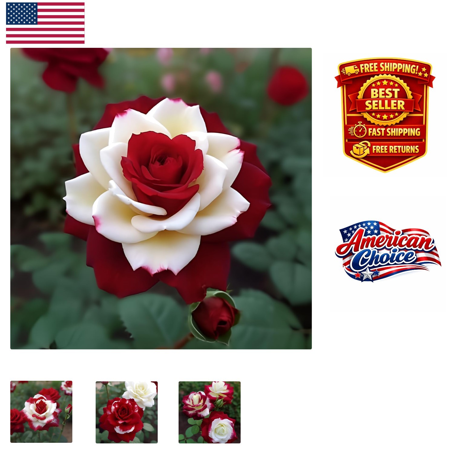 Breathtaking 20pcs Rare Twin Rose Seeds – Non-GMO for Stunning Outdoor Gardens