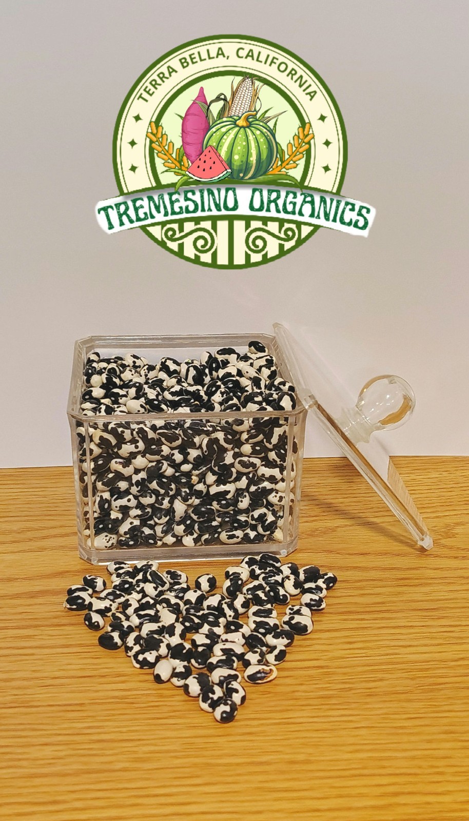 Rare Vaquita Negro Beans, 20 Seeds- Frijol Vaquita Negro de Morelos, 20 Semillas