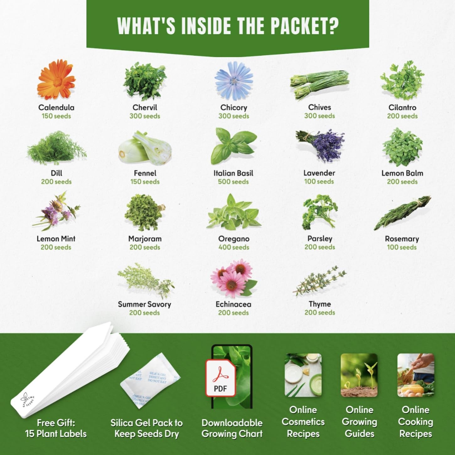 Culinary Herb Seeds Variety Pack – Basil, Cilantro, Parsley, Oregano, Rosemar…