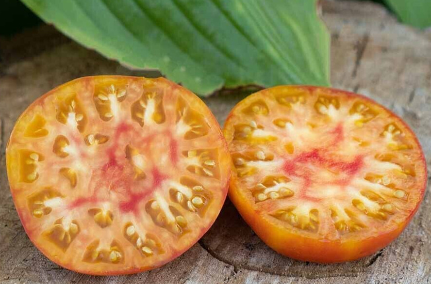 Tomato HAWAIIAN PINEAPPLE BEEFSTEAK Heirloom Indeterminate USA Non-GMO 30 Seeds