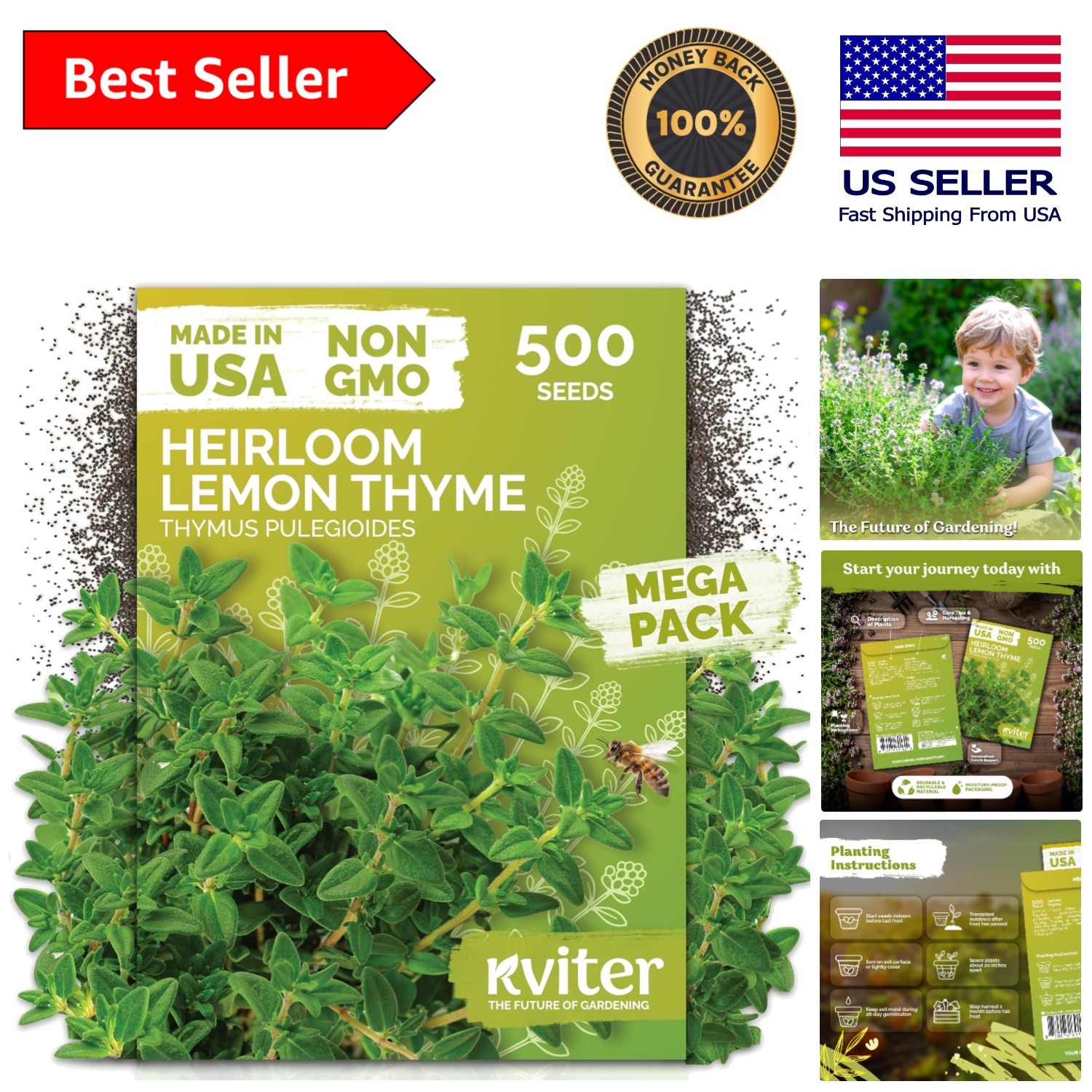 Vibrant 500 Count Lemon Thyme Seeds – Aromatic Ground Cover for Full Sun Gardens
