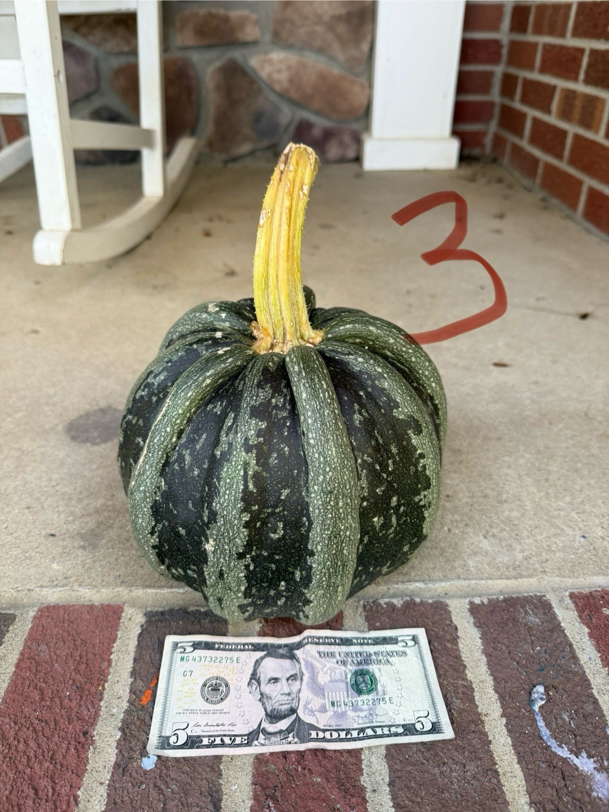 Seeds #3: Green/white ribbed pumpkin. Exotic, beautiful. Seeds (10 ct)