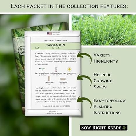 Sow Right Seeds Tarragon Seed Collection – Non-GMO Heirloom Varieties
