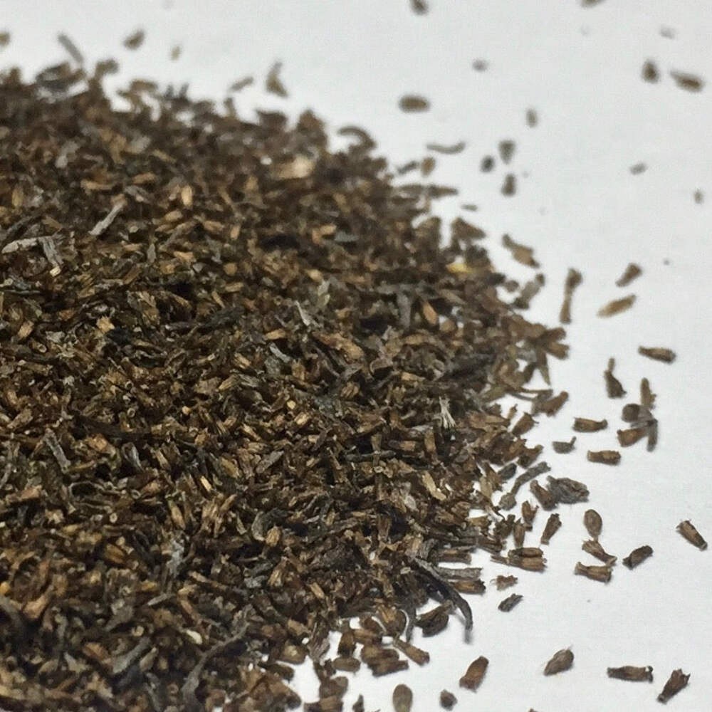 Wormwood, Absinthe Seeds (Artemisia absinthium) ~Traditional Herb Garden