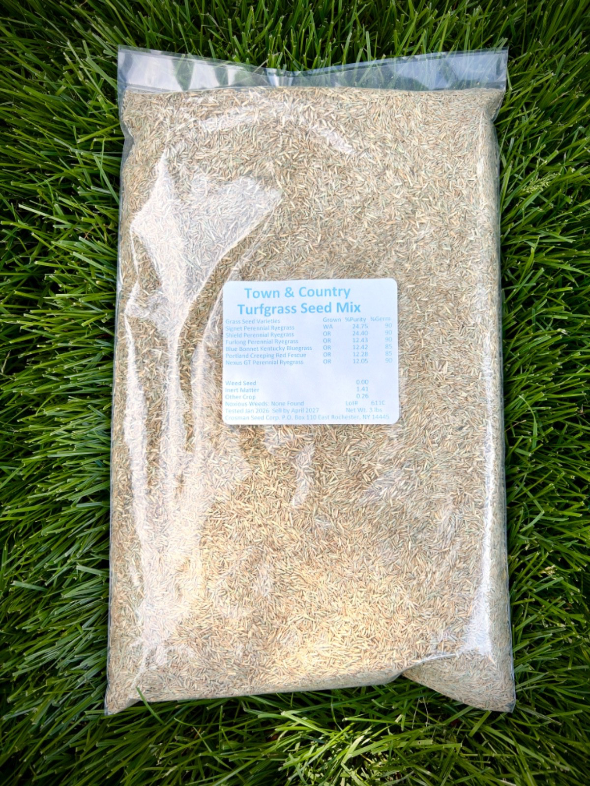 Sun and Shade Grass Seed Mix Perennial Ryegrass Kentucky Bluegrass Fescue 3 lb
