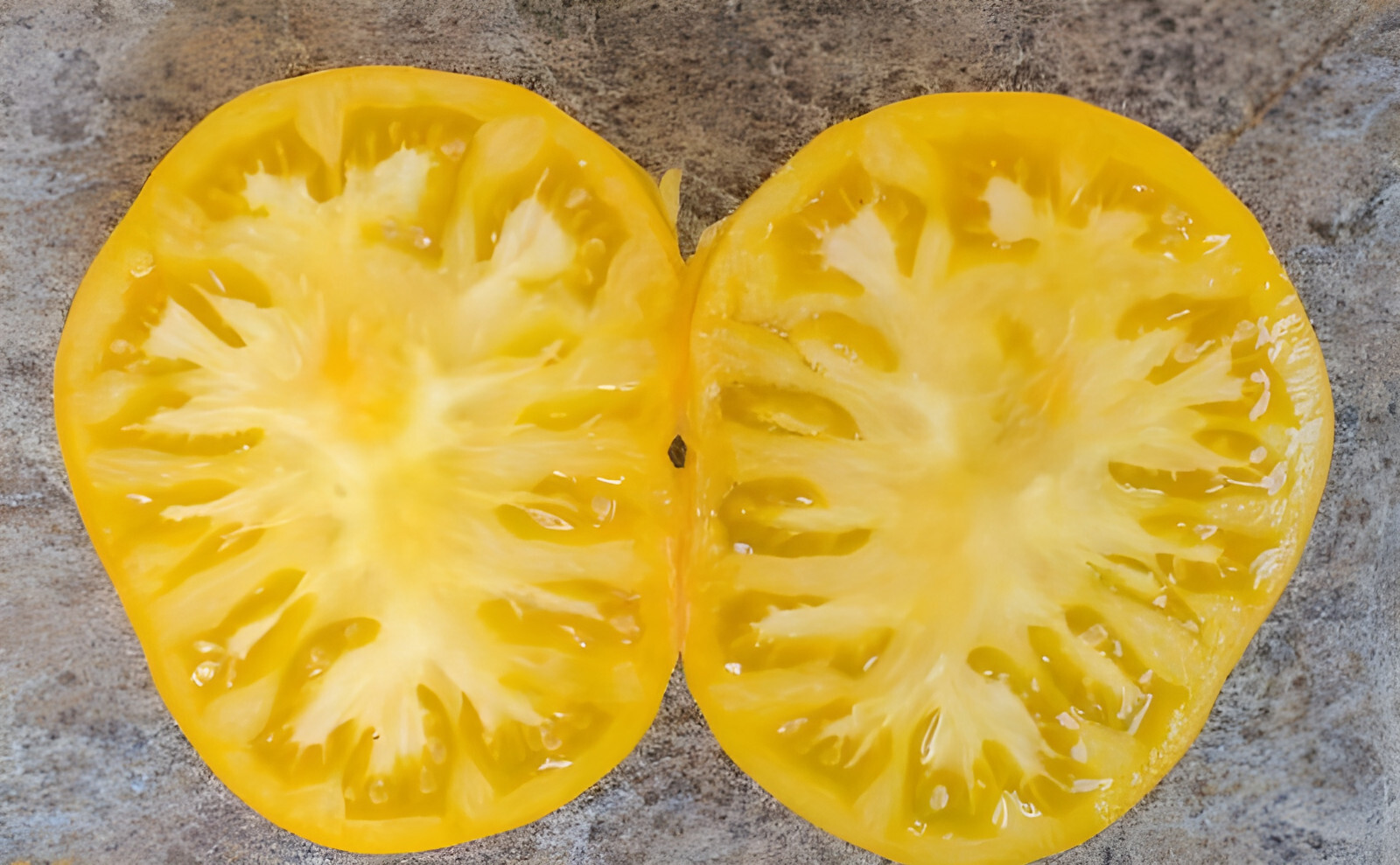 100 Heirloom Yellow Brandywine Tomato Seeds – The Most Flavorful Yellow Tomato!!