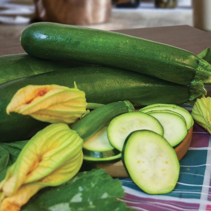 Dark Green Zucchini Seeds, Non GMO – Heirloom, FLAVORFUL and EARLIER THEN MOST