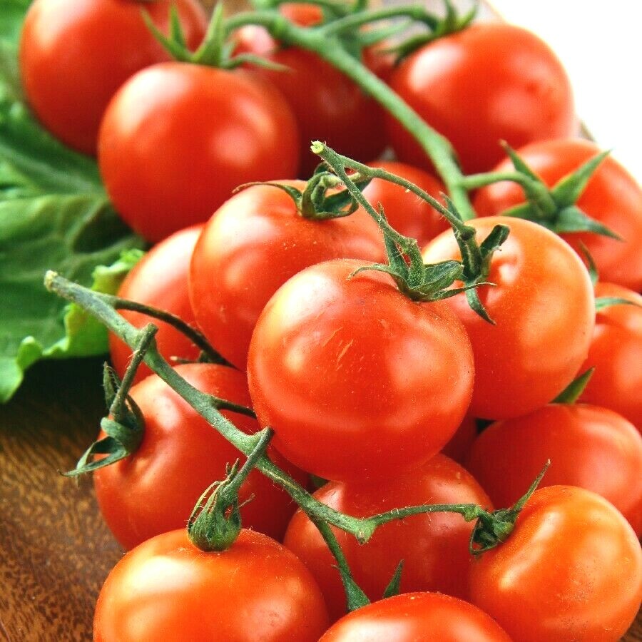 101+CHERRY TOMATO Seeds Organic Heirloom Vegetable Garden Patio Container Easy