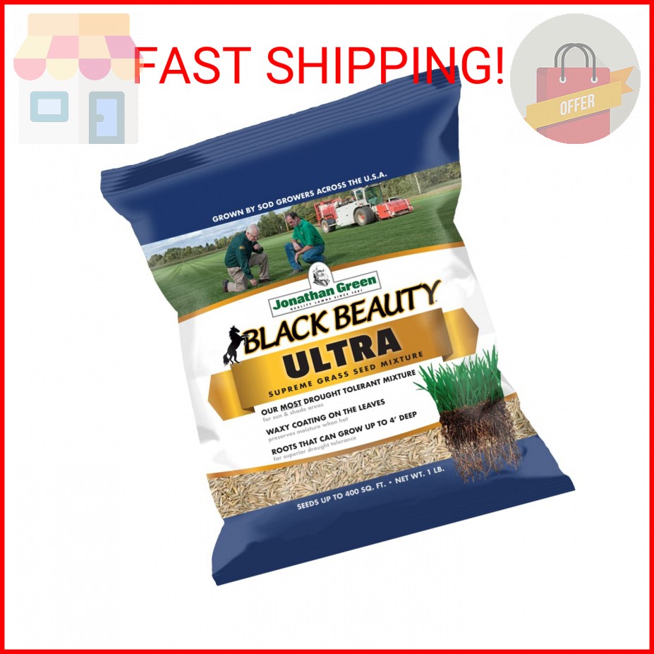 Jonathan Green (10320) Black Beauty Ultra Grass Seed – Cool Season Lawn Seed (1