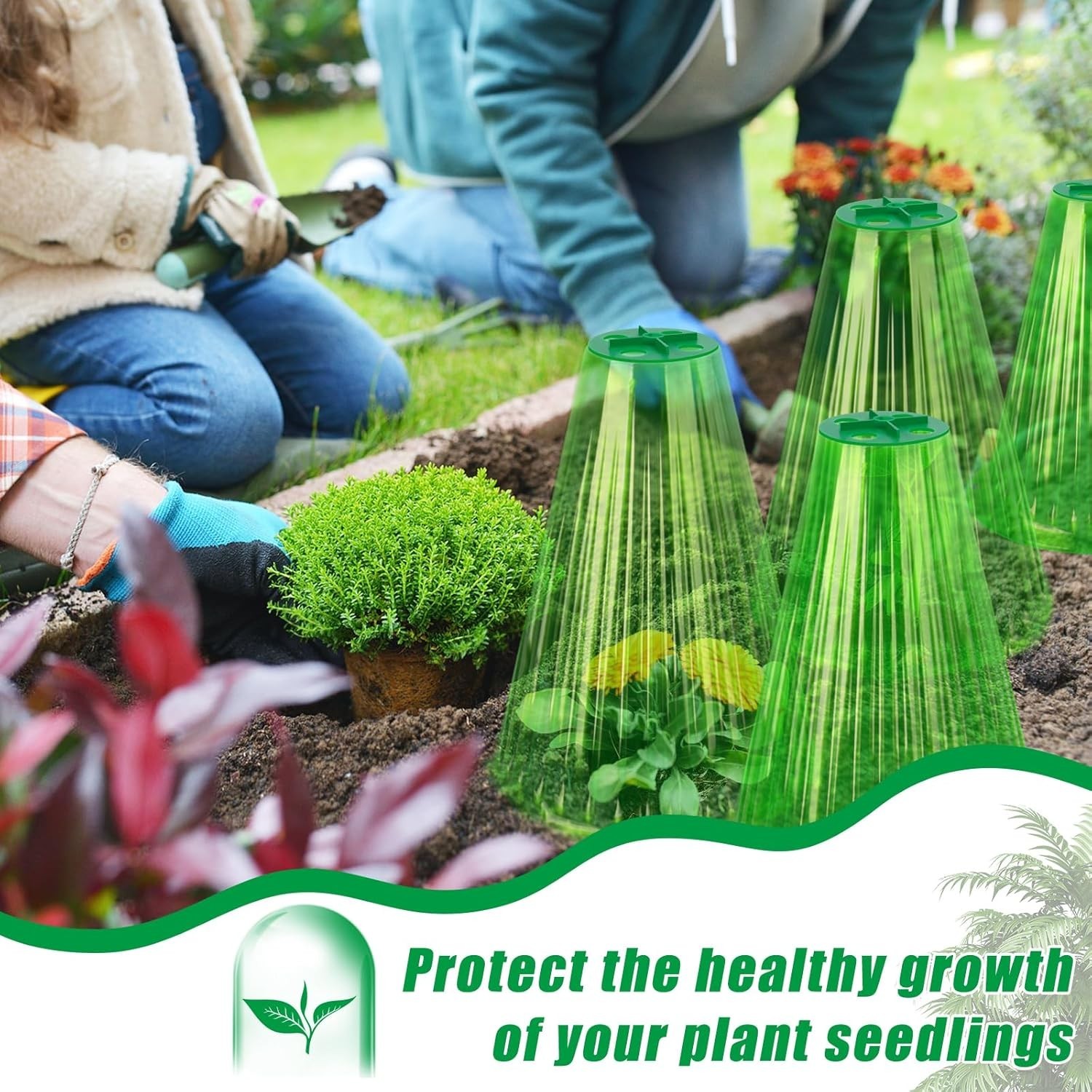 Multi-Functional 30 Pack Plant Cloches – Weather & Animal Protection Included