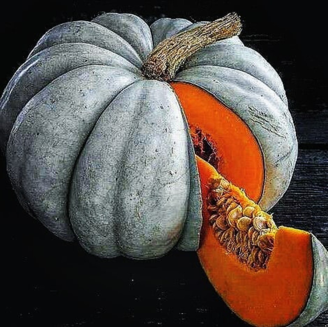 15 Jarrahdale Blue Pumpkin Seeds – Jarradale Queensland Cinderella Doll — FRESH