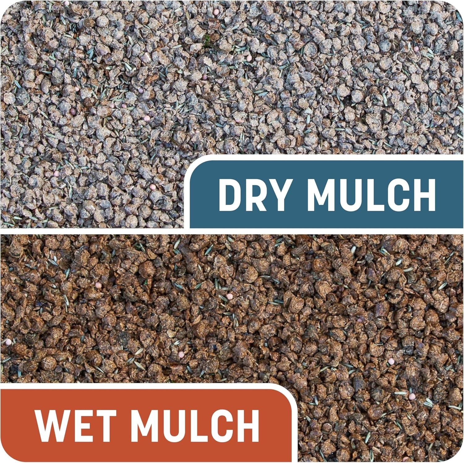 Smart Patch Bermuda Grass Seed – 10 lb Bag