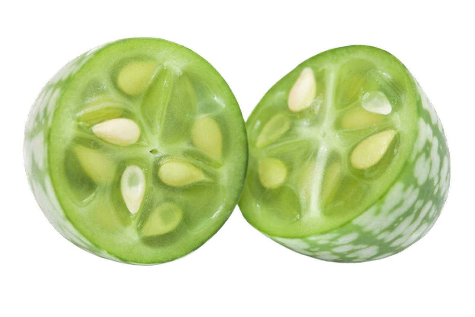 Cucamelon 20 Seeds – Mouse Melon, Melothria Scabra Mini Cucumber, Mexican Sour G