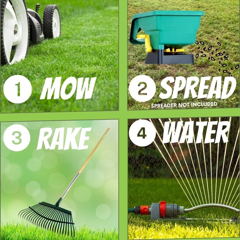 RUFF and TUFF! Fescue Grass Seed, Pet Friendly, Low Maintenance, Shade Tolerant