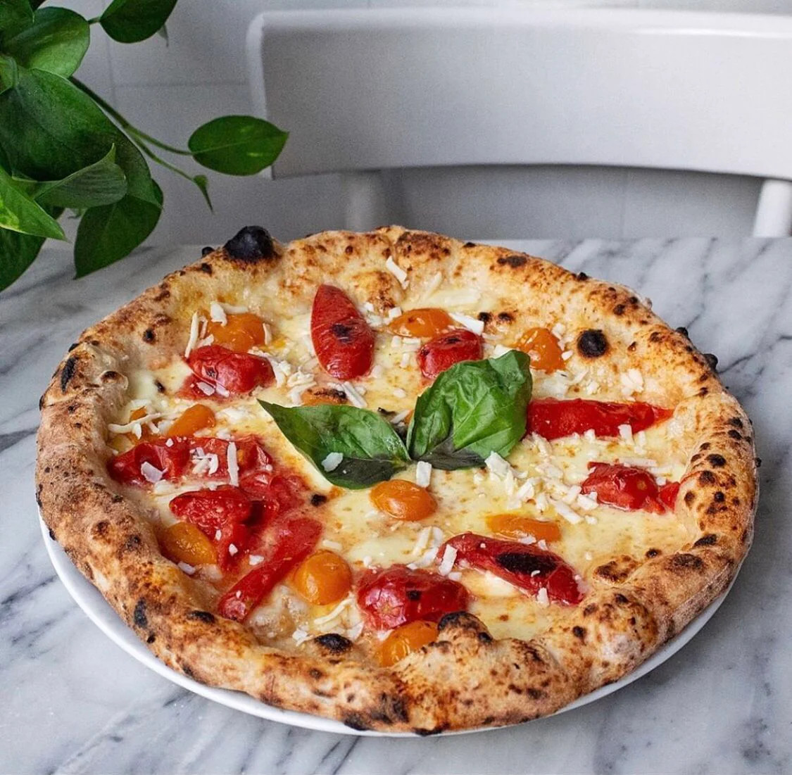 San Marzano Tomato Seeds | Indeterminate Italian Plum Tomatoes Roma Seed 2023