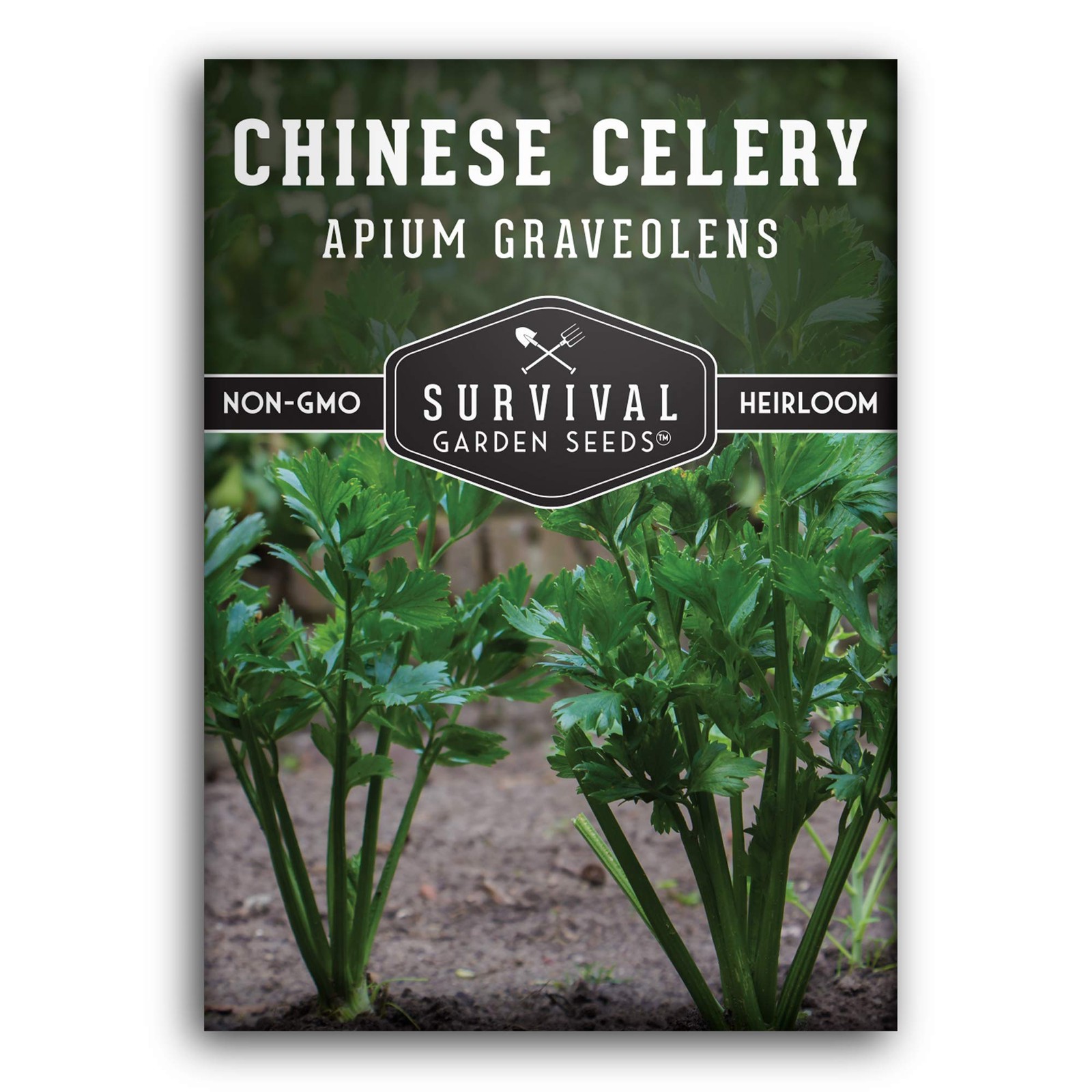 Chinese Celery Seeds for Planting – 1 Packet with Instructions to Grow Asian …