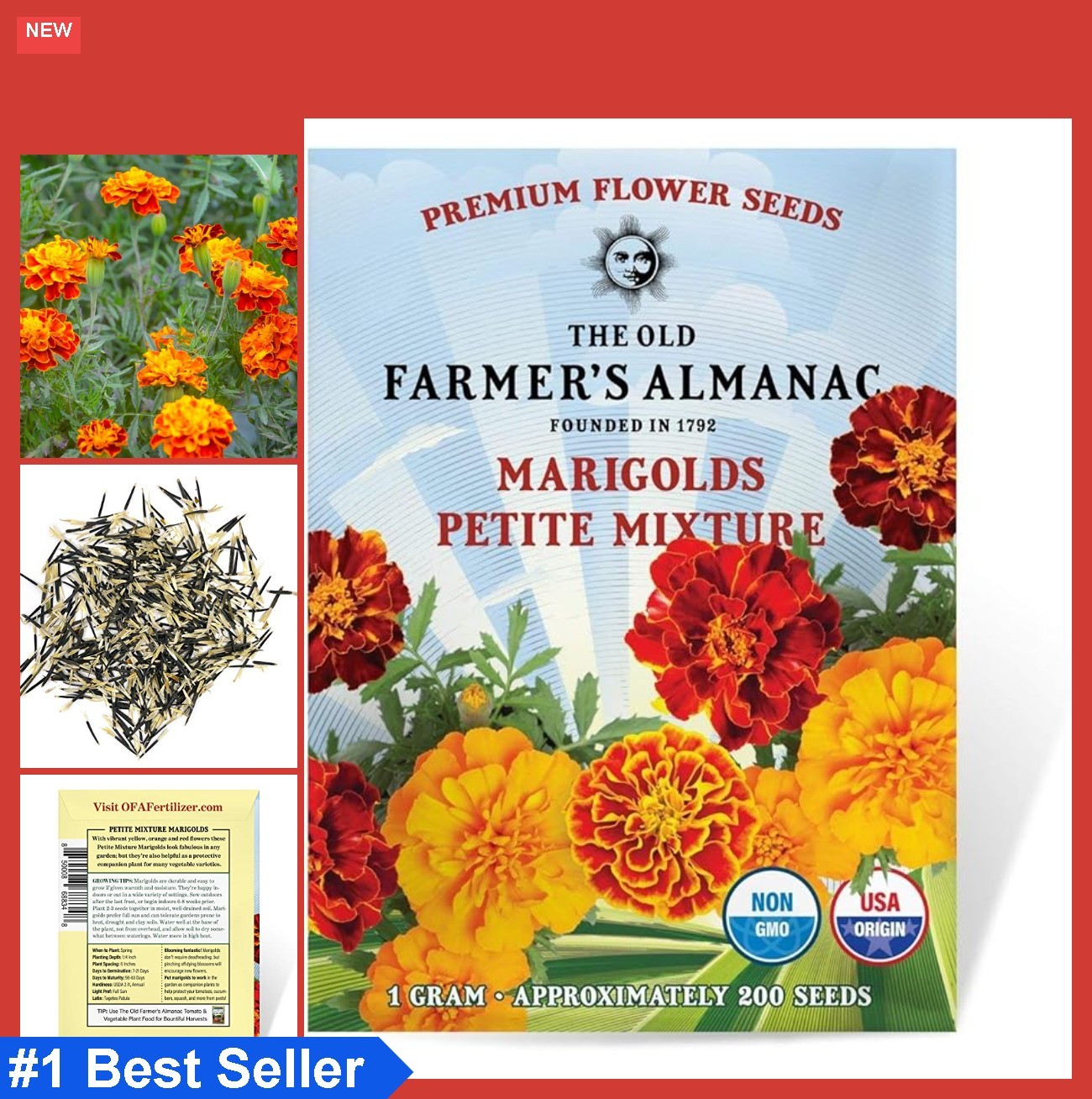 Marigold Seeds Petite Mix 200 Flower Seeds Orange Yellow Red Attracts