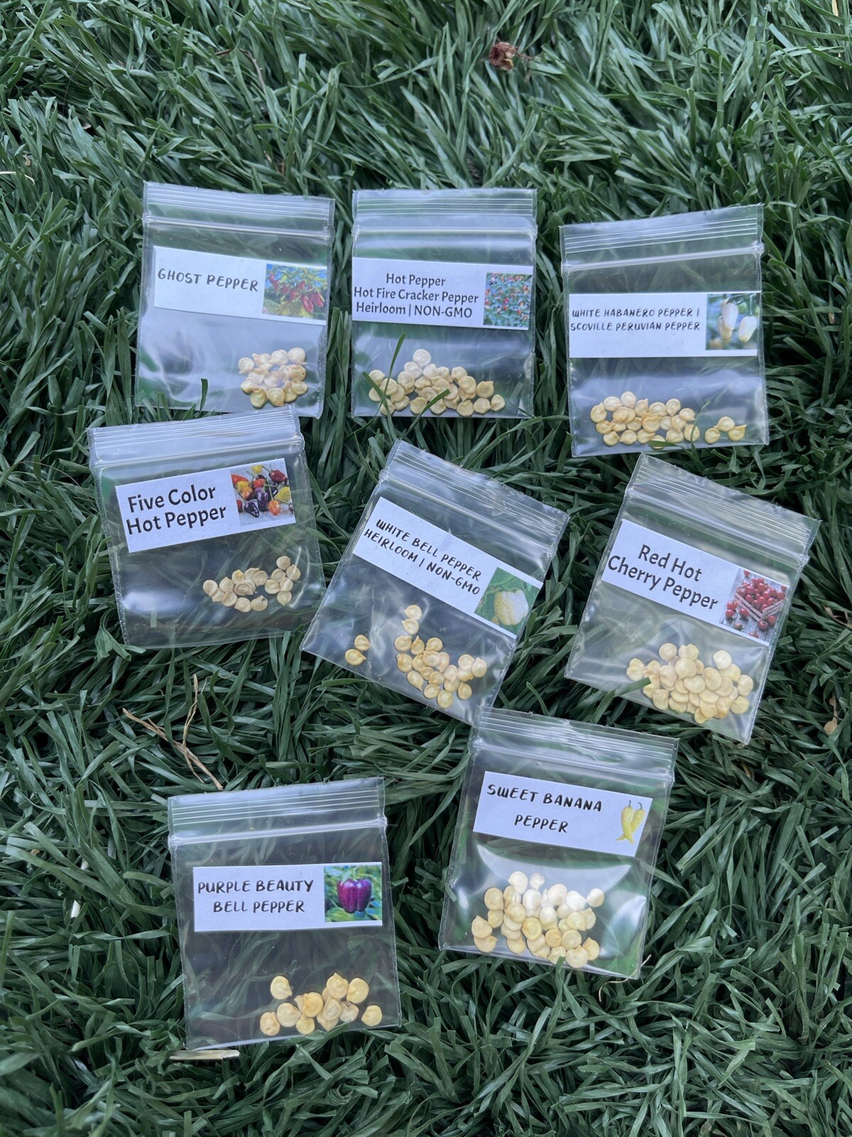 13 Packets of Flower Seeds Package Combo + 2 Mystery Seeds