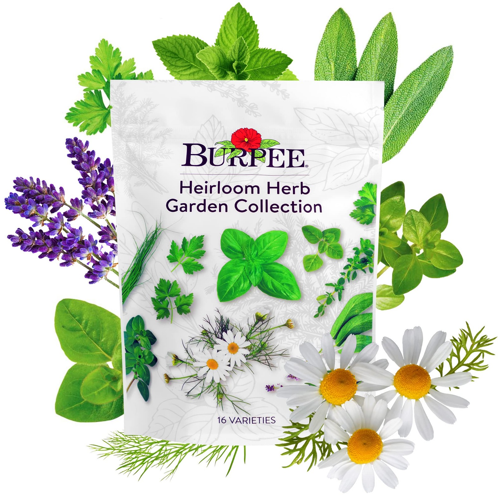 Burpee Heirloom Herb Seeds Variety Pack, Non-GMO, Best 16