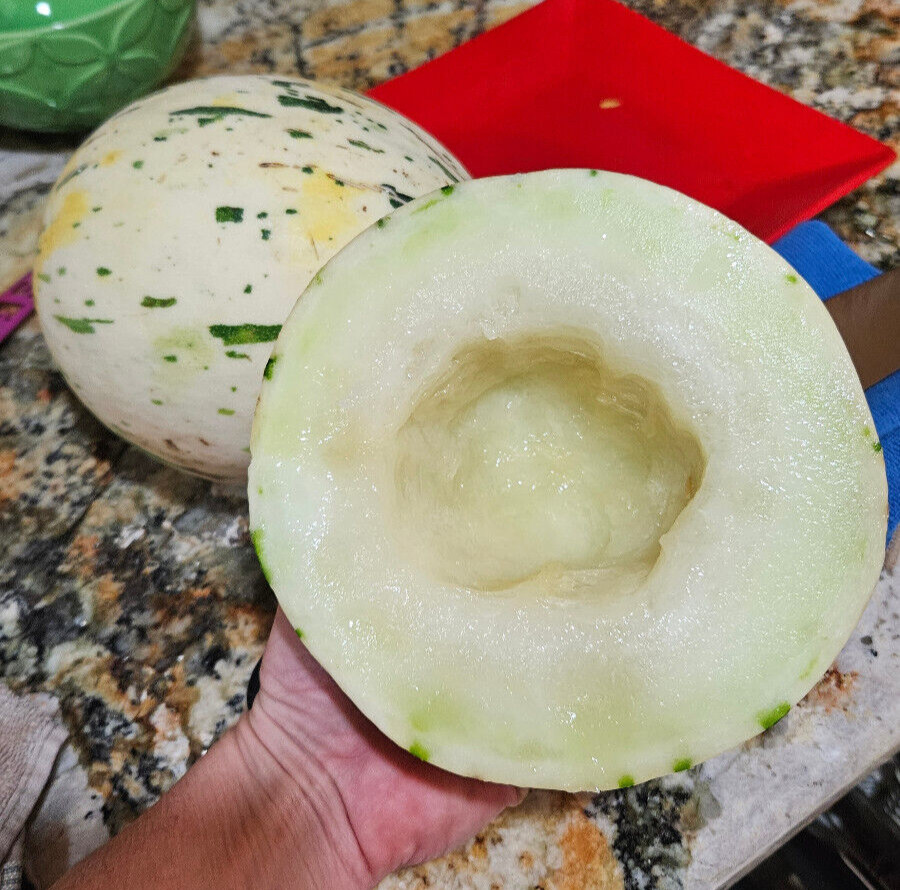 DYNO MELON Seeds (25) / DINOSAUR EGG MELON / SUPER RARE FRUIT