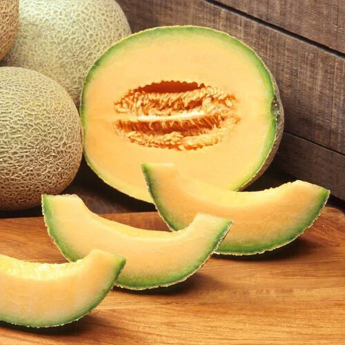 Edisto 47 Cantaloupe Seeds | 20 Seeds | Non-GMO | Free Shipping | 1051