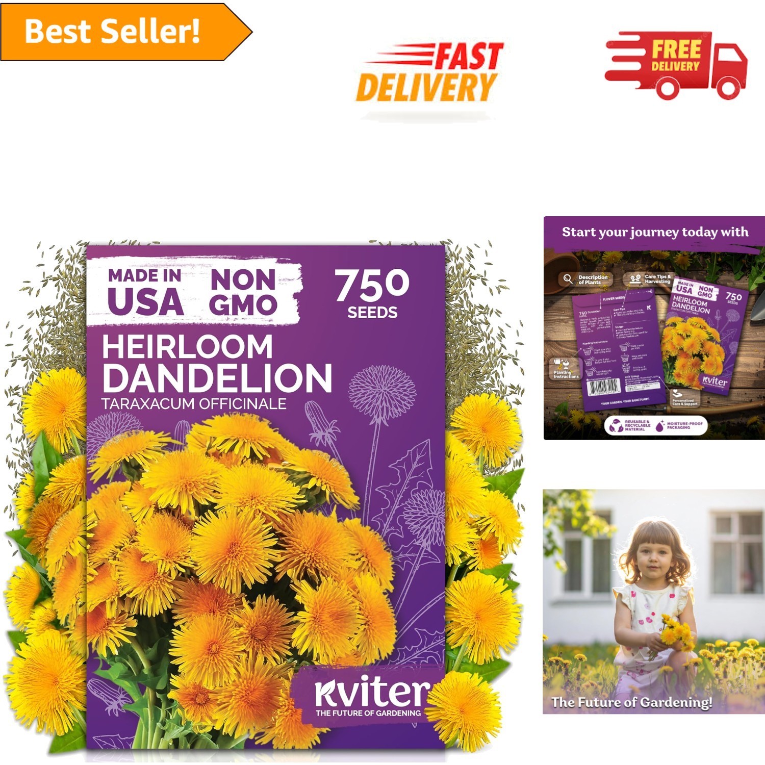 750 High Germination Dandelion Seeds – Sustainable Edible Herb for All Seasons