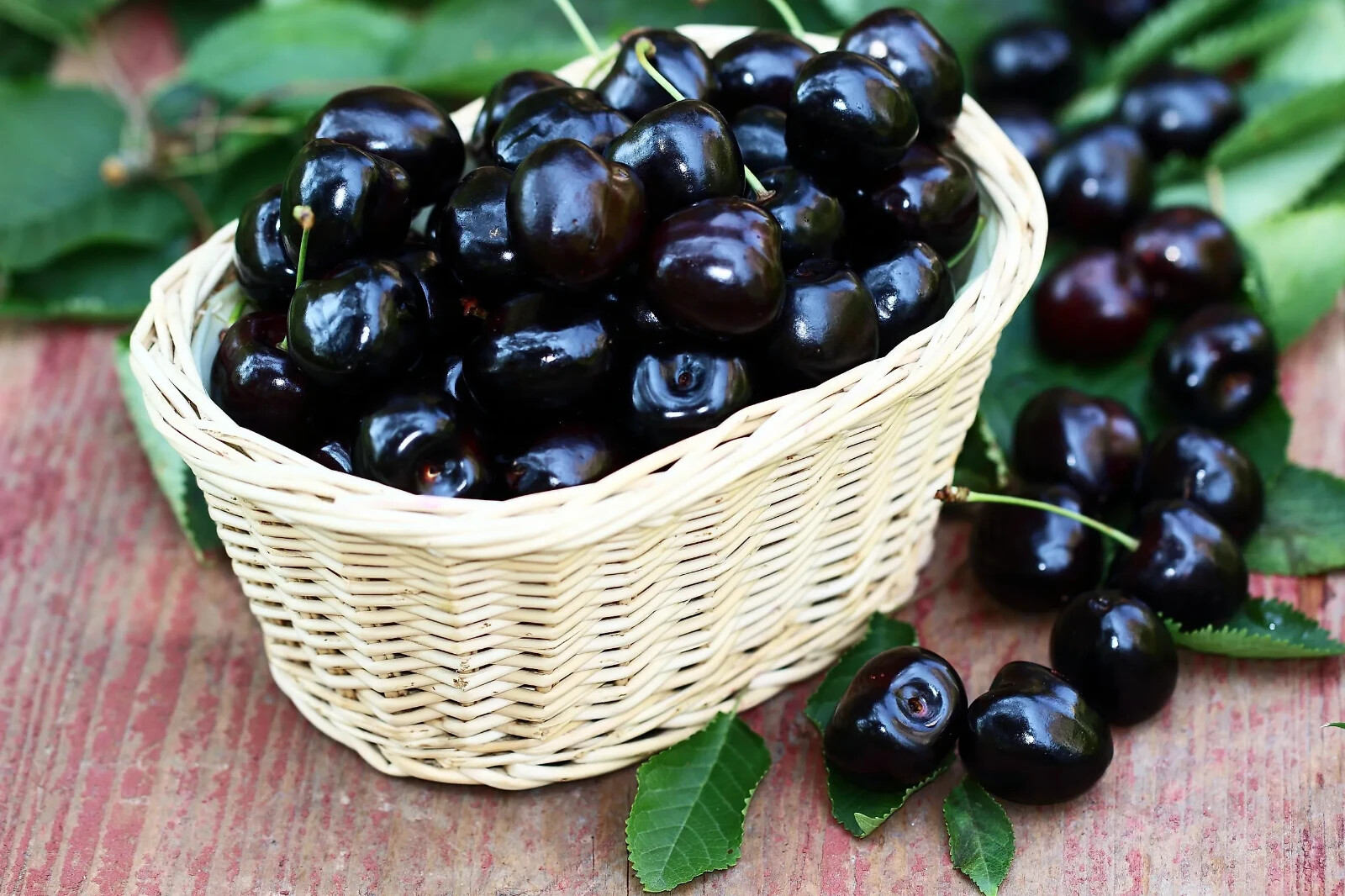 30 Fresh Sweet BLACK Cherry Plant Tree SEEDS