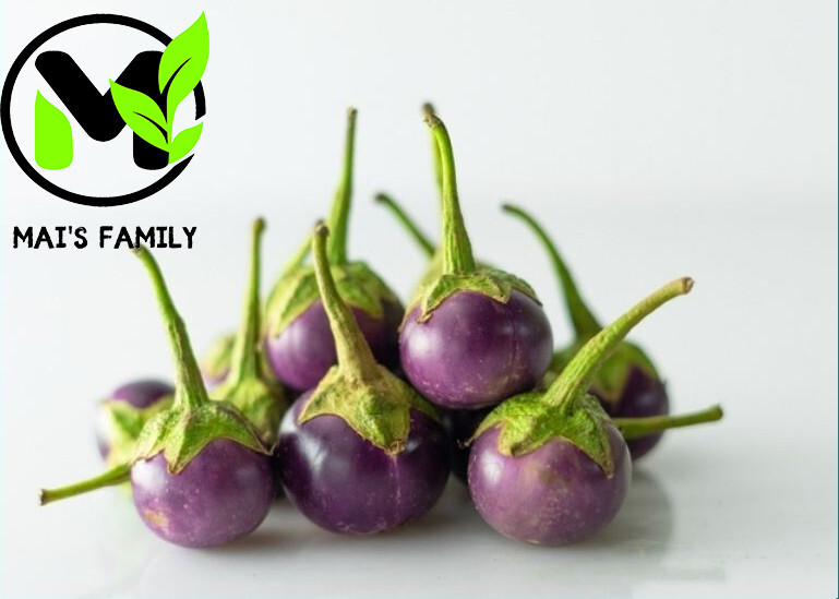 ROUND PURPLE EGGPLANT Seeds , Cà Pháo Tím {Organic}