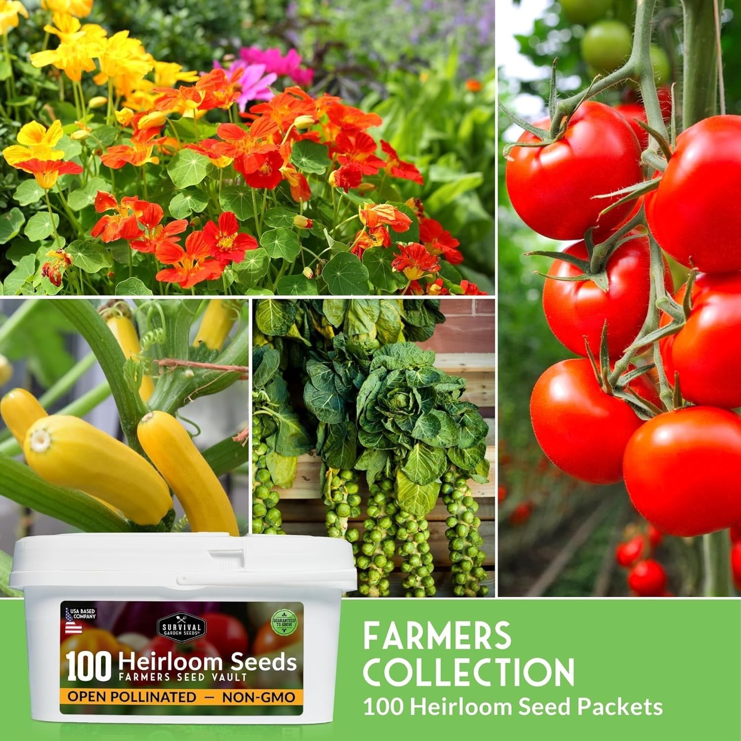 Survival Seed Kit 100 Pack – Non GMO Vegetables, Fruits, Herbs – Emergency Food