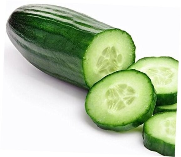 30 Muncher Burpless Sweet Cucumber Seeds, Heirloom Non-GMO, Non-Bitter and
