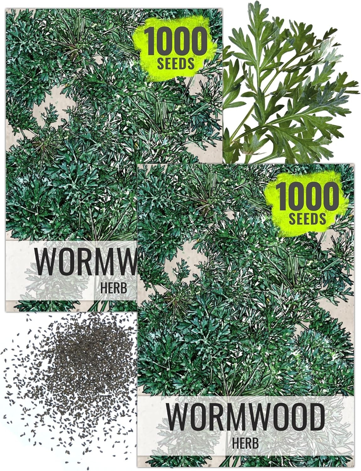 Wormwood Seeds for Planting – Untreated, Non-GMO Herbal Growth – 1000 Count