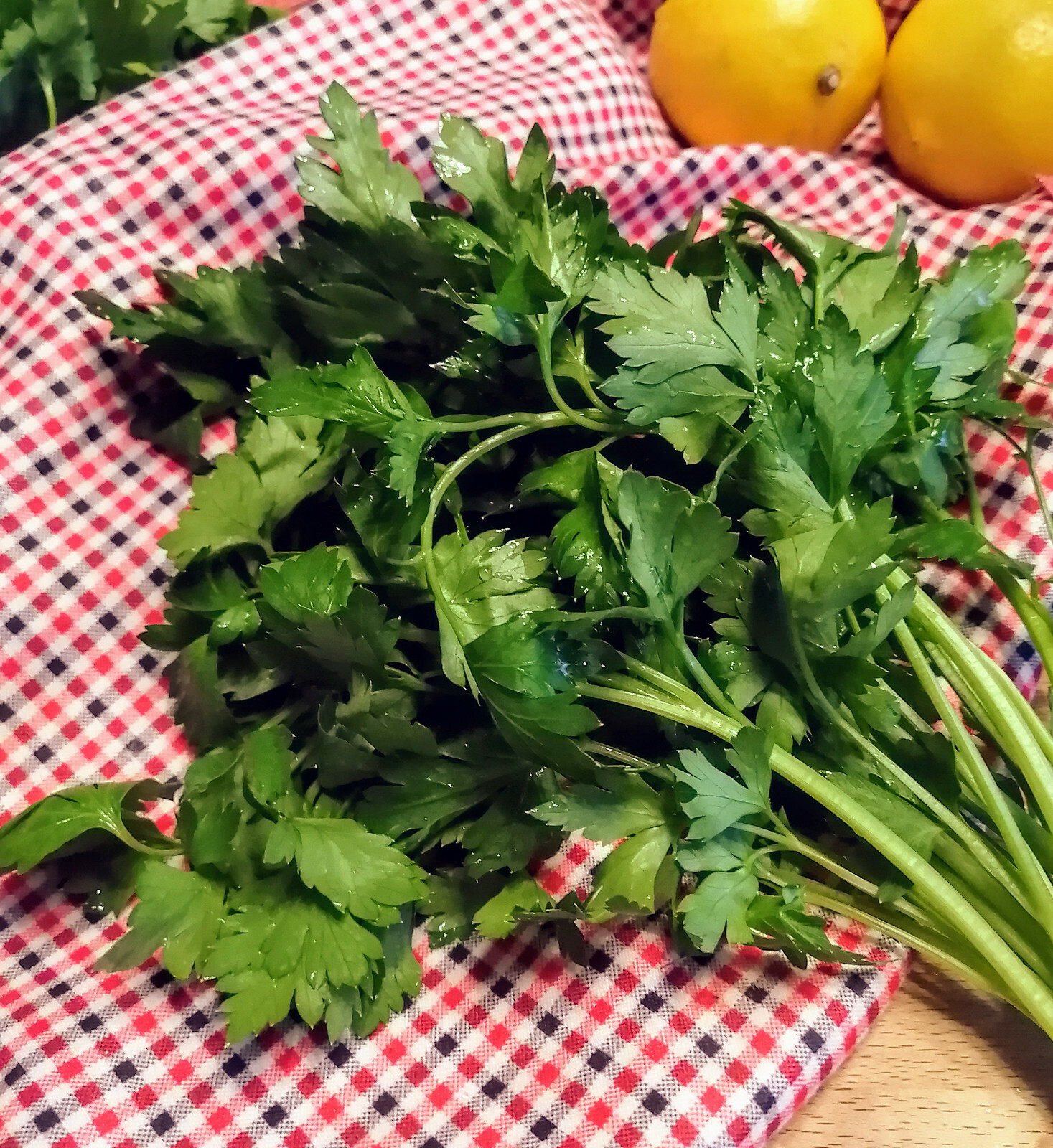 Hundredfold Italian Dark Green Flat Leaf 1000 Parsley Seeds Petroselinum crispum