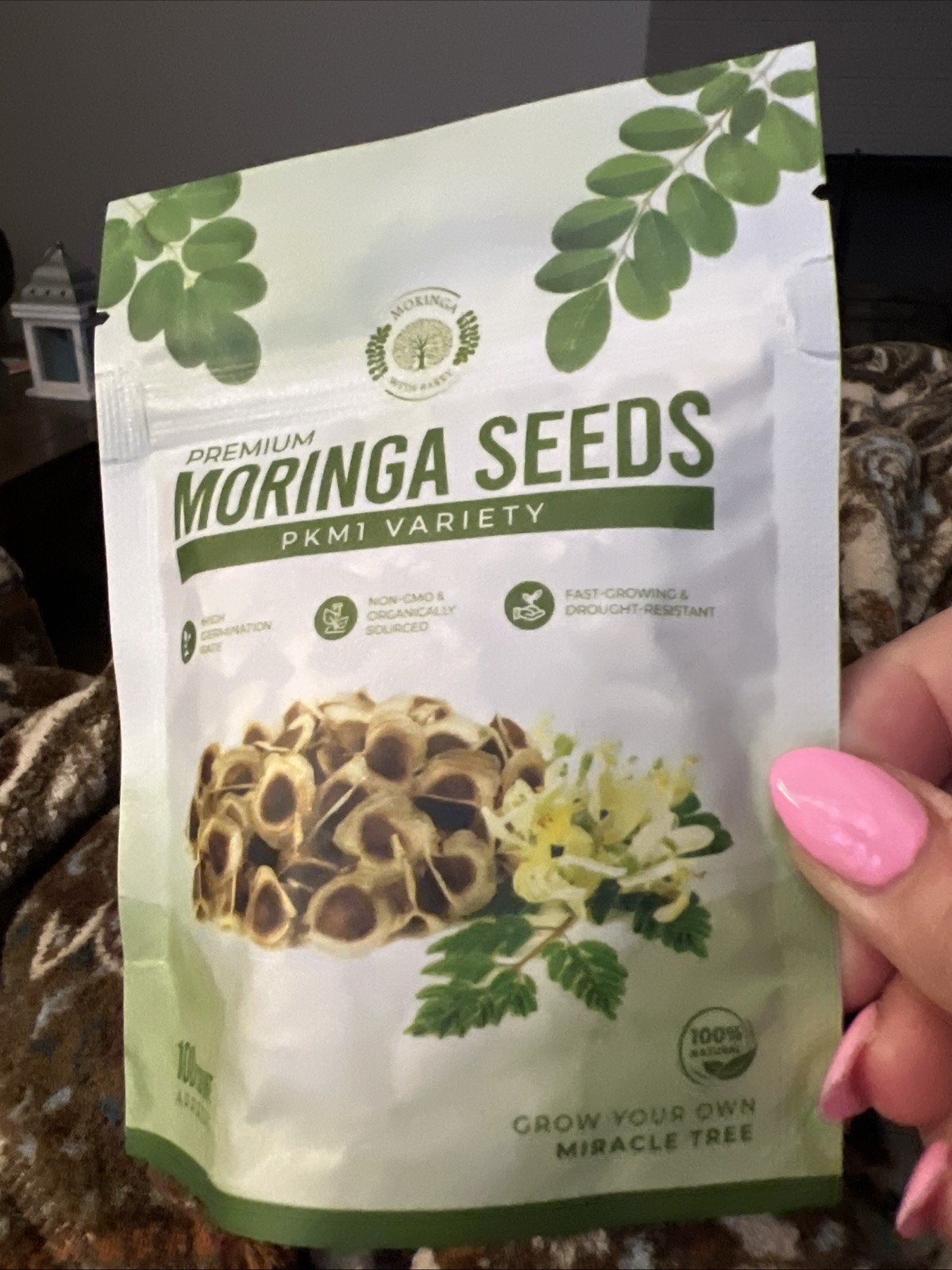 Moringa Seeds 100 Count Moringa Tree Seeds High Germination Rates