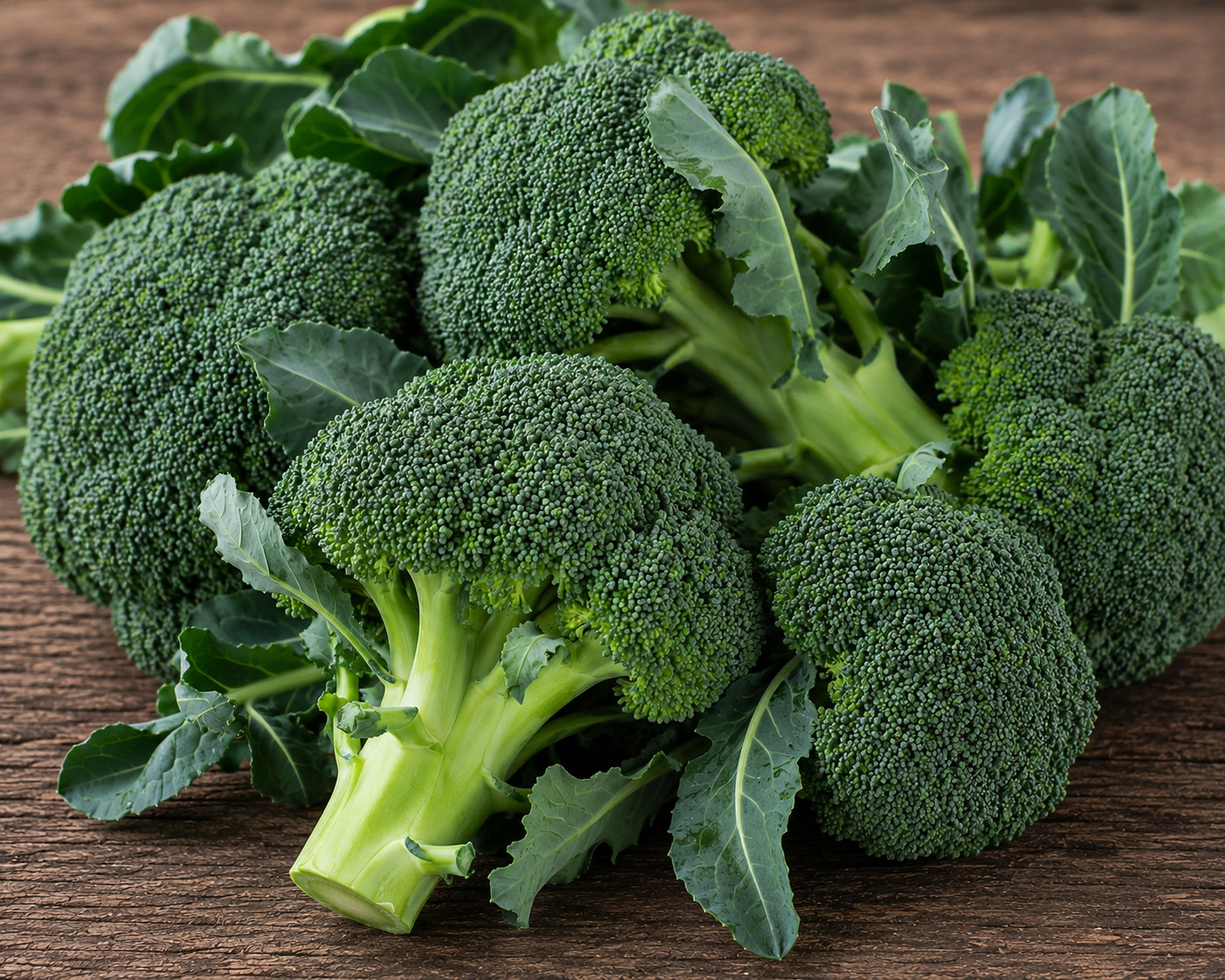 500+ Waltham 29 Broccoli Seeds – 100% Heirloom – Non-GMO – Open Pollinating