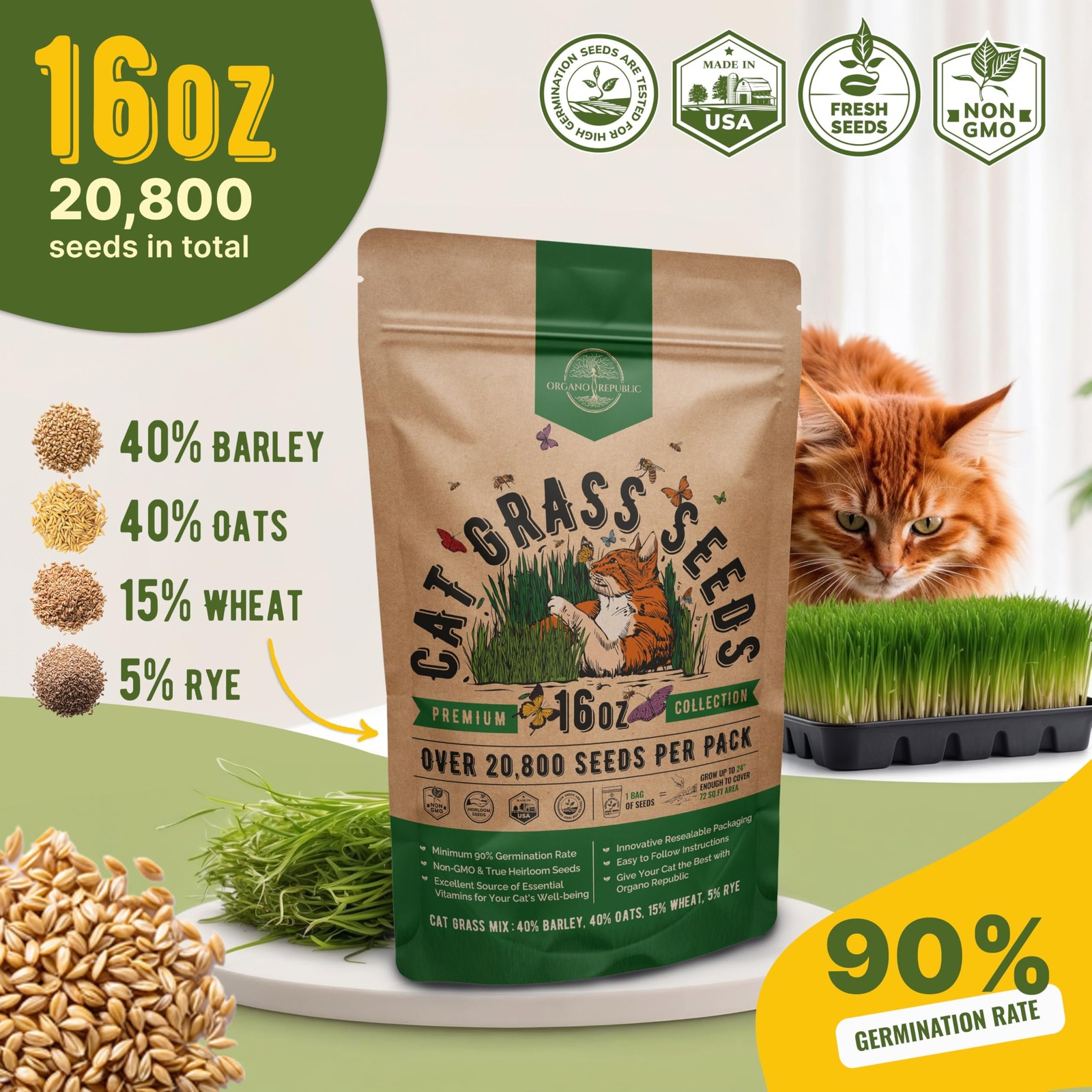 Cat Grass Seeds Mix – 20,800 Non-GMO Heirloom Seeds for Cats & Pets, 16 oz Pa…