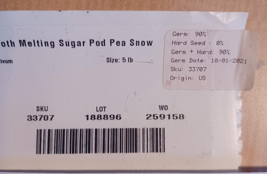 50+ MAMMOTH MELTING SUGAR POD SNOW PEA-Heirloom-Non GMO-USA-FREE SHIPPING