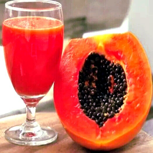 20 Caribbean “Red Lady” Carica Papaya Fruit Tree Seeds LARGE MELONS Indoor Plant