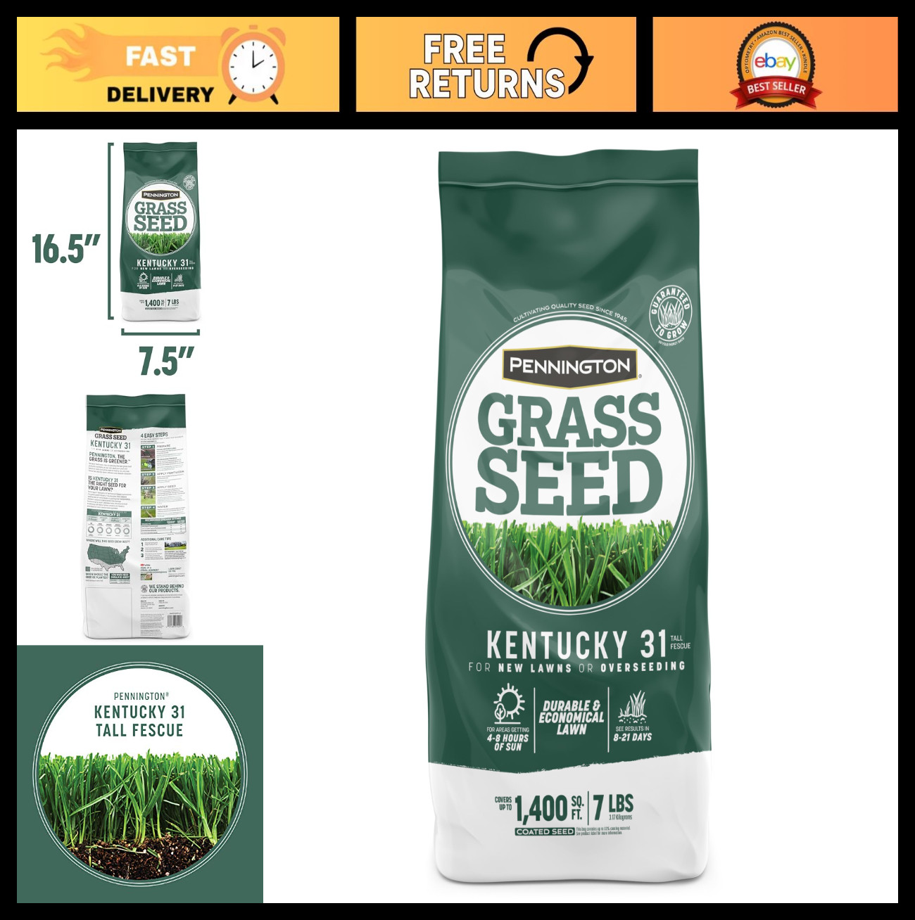 Tall Fescue Grass Seed 7 lb – Kentucky 31 Penkoted for Lush Lawn Growth