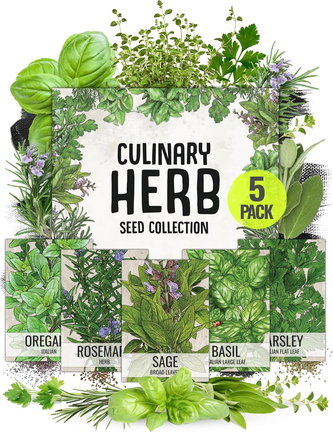 Herb Seeds Variety Pack Culinary Herb Collection (12 Individual Packets for Plan