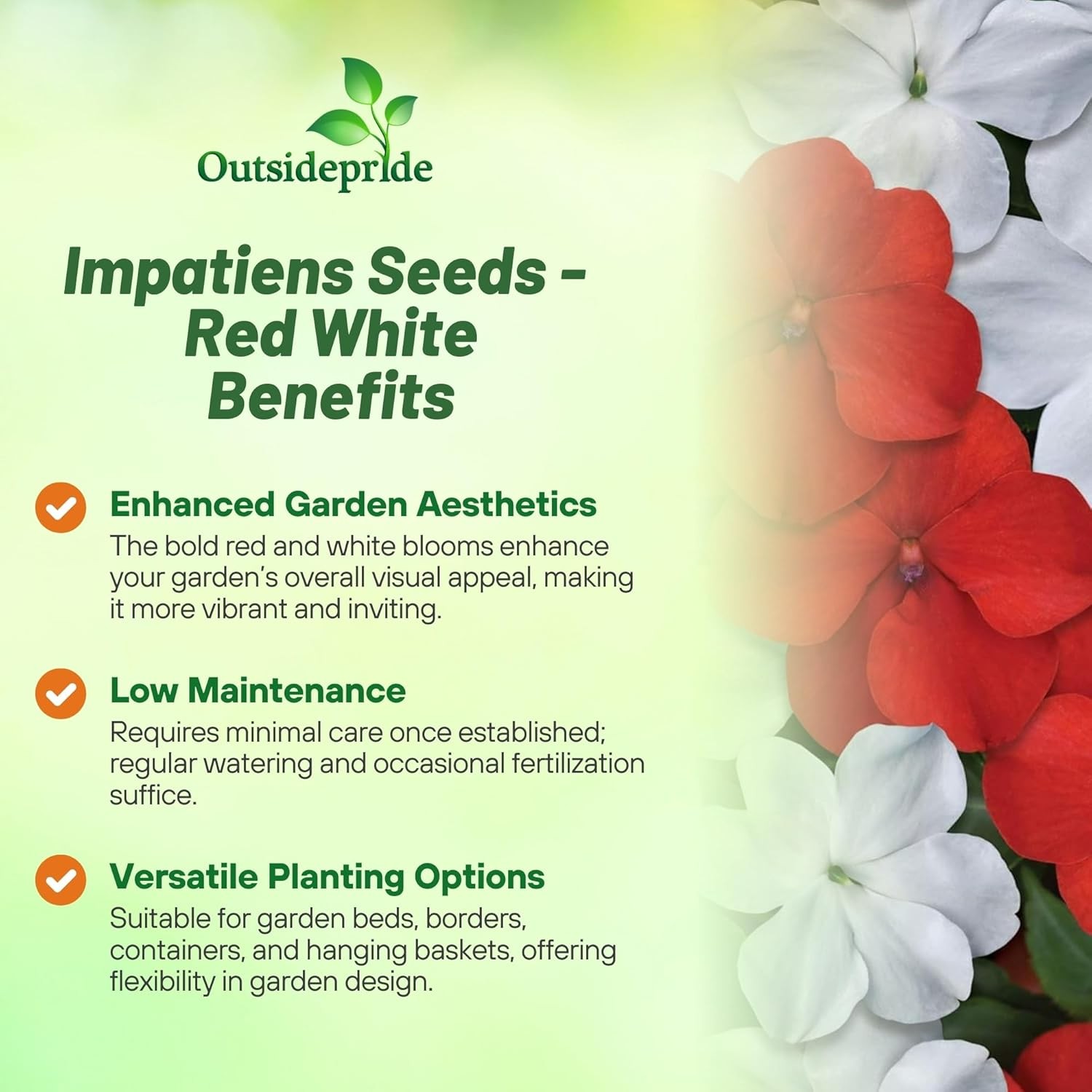 100 Seeds Red & White Impatiens Seed Mix