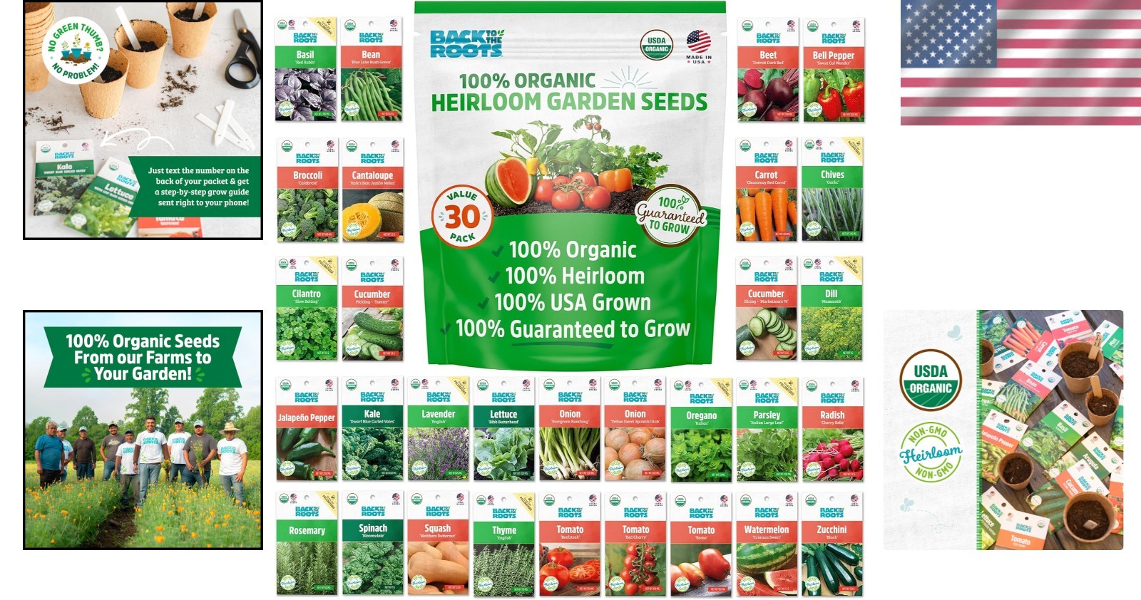 Assorted 30pk Organic Non-GMO Seeds – Perfect for -Round Gardening Success