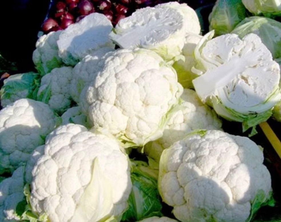 50+ Fresh Cauliflower Seeds, Snowball Heirloom, Organic Non-GMO, USA Seller 🇺🇸