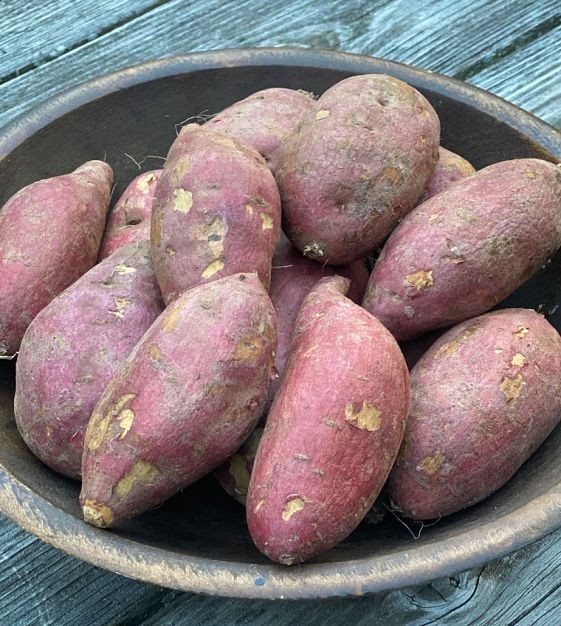Japanese Murasaki Sweet Potatoes – 3 LB | Red Skin, White Flesh | Premium USA