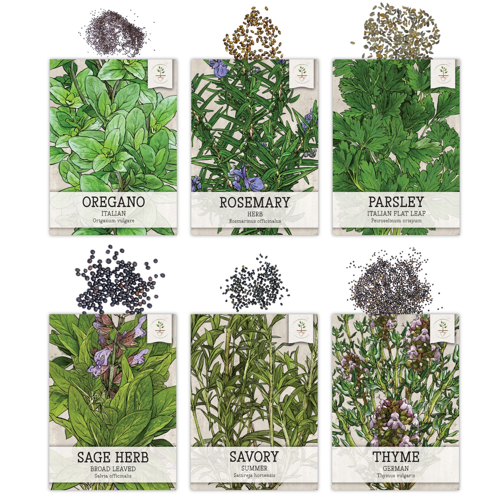 Culinary Herb Seed Collection for Planting an Indoor / Outdoor Herb Garden