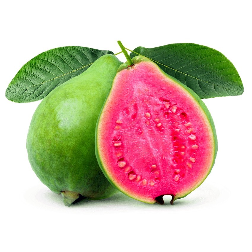 20 Lemon Apple Guava Tree Fruit Seeds ‘Ruby Supreme’ Plant (Psidium guajava)