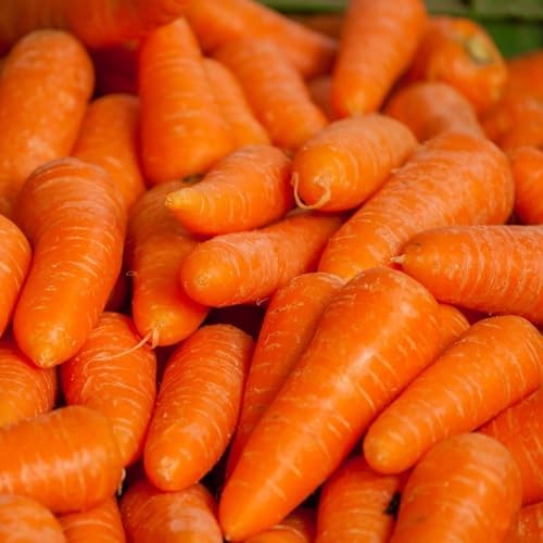 CarpetC 840pcs Mixed Radish Seeds for Planting, Raphanus sativus Variety Pack,